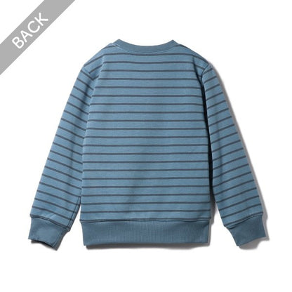 Kids' Boy Brushed Sweatshirt (Winter)