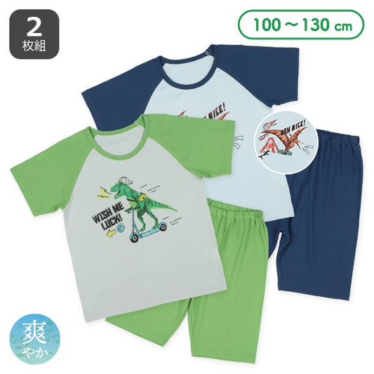 Dinosaur Short Sleeve T-shirt and Pants Set