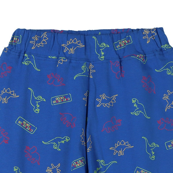 Dinosaur Kinit Shorts