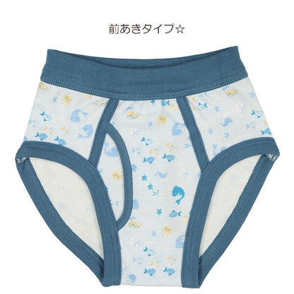Brief