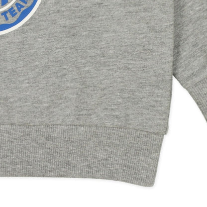 College Sweatshirt (Winter, Spring, Autumn)